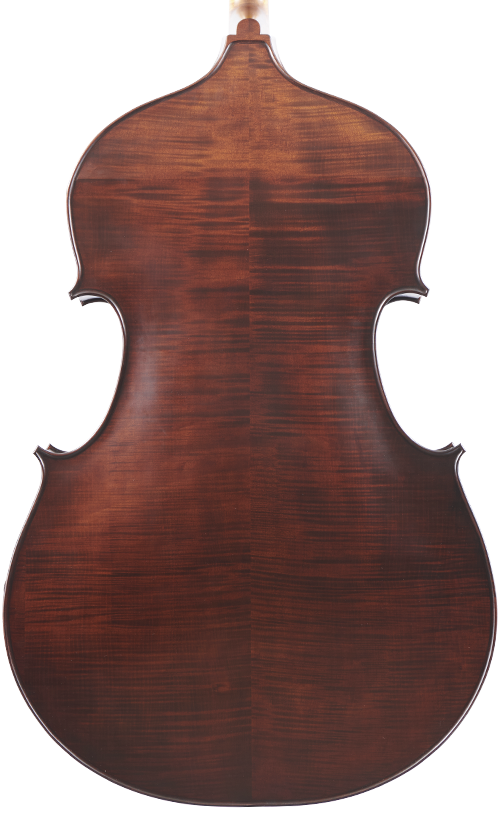 Fuber Double Bass back