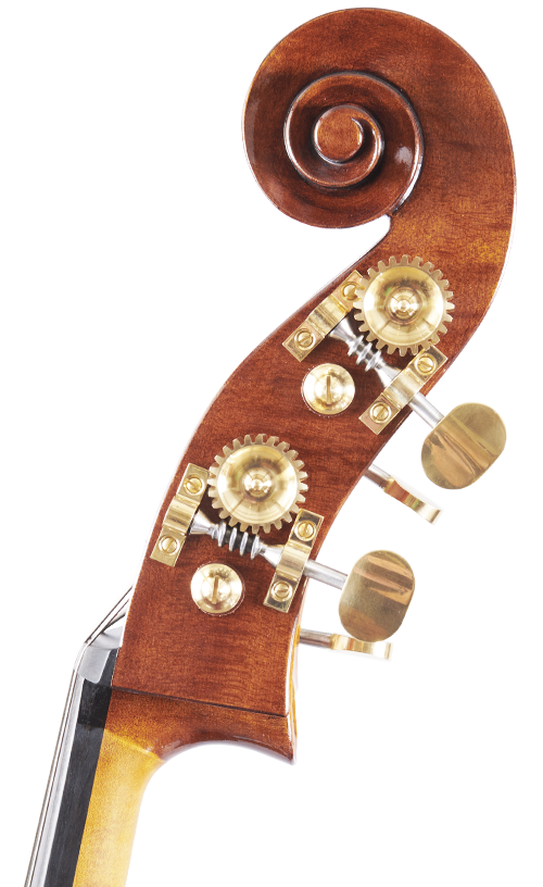 Fuber Double Bass right side