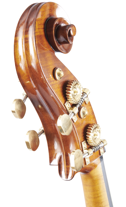 Fuber Double Bass right side