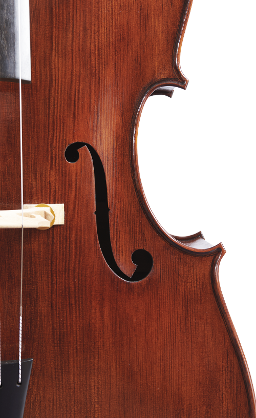 Fuber Double Bass right side