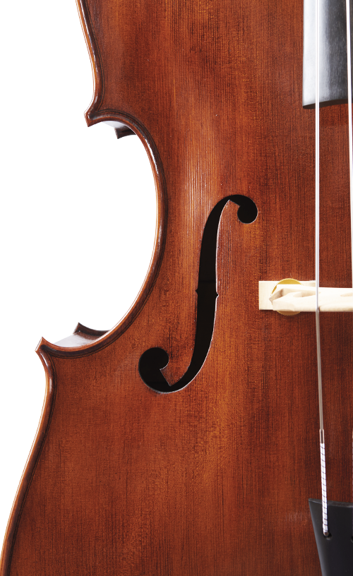 Fuber Double Bass right side