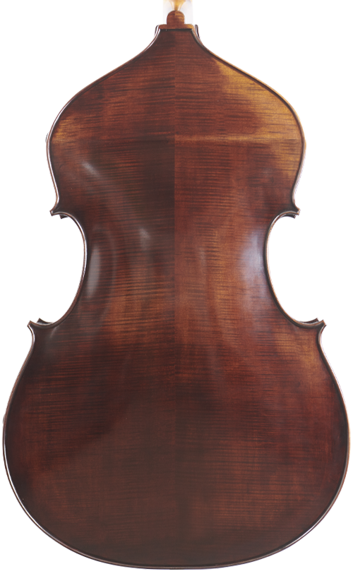 Fuber Double Bass back