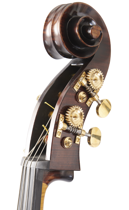 Fuber Double Bass right side