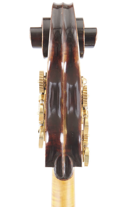 Fuber Double Bass right side