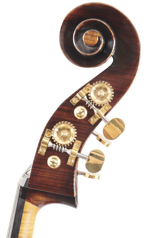 Fuber Double Bass right side