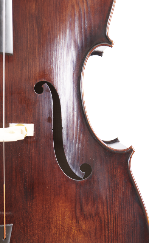 Fuber Double Bass right side