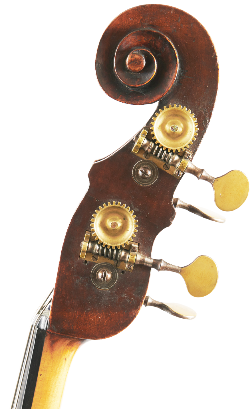 Fuber Double Bass right scroll