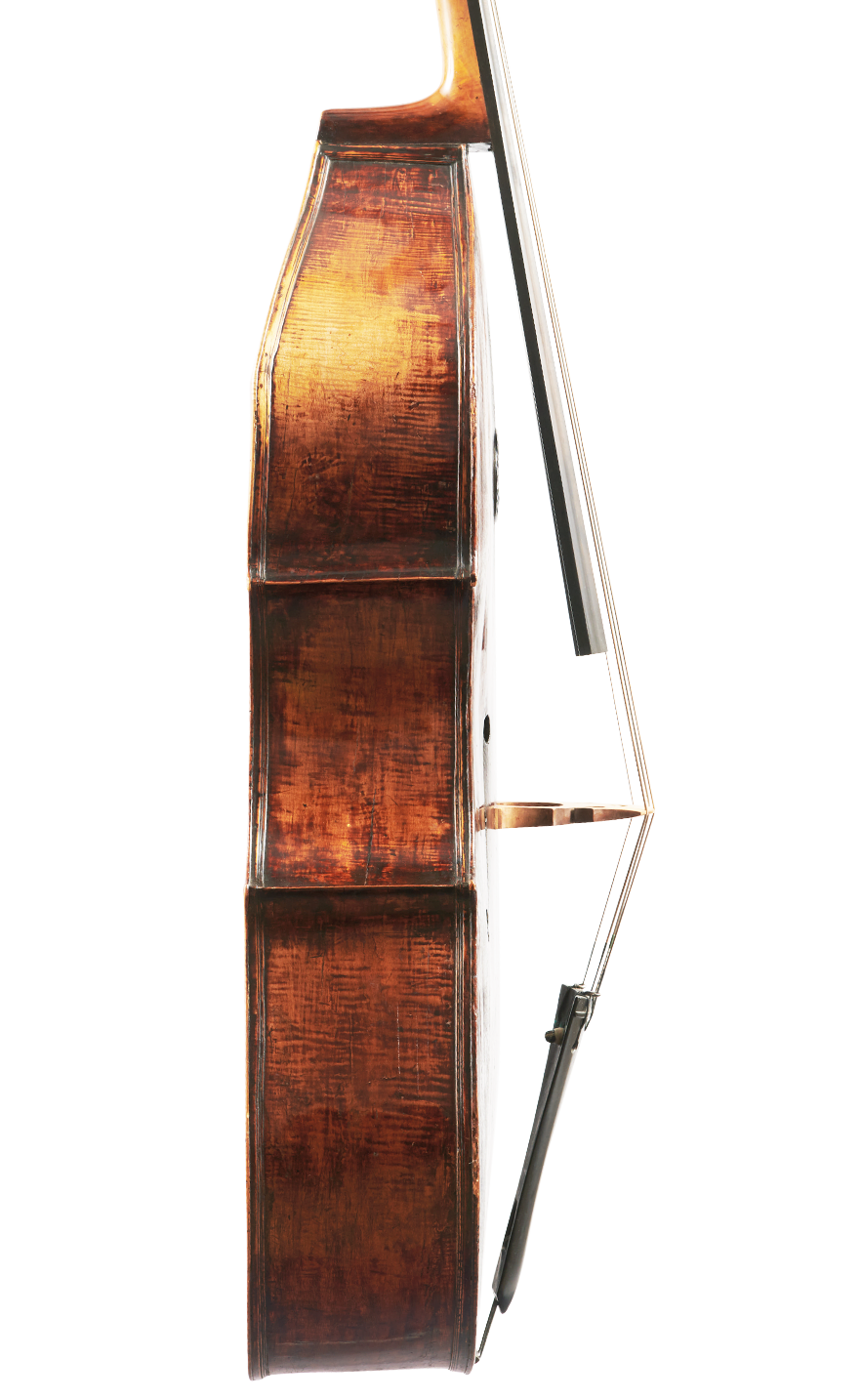 Fuber Double Bass left side