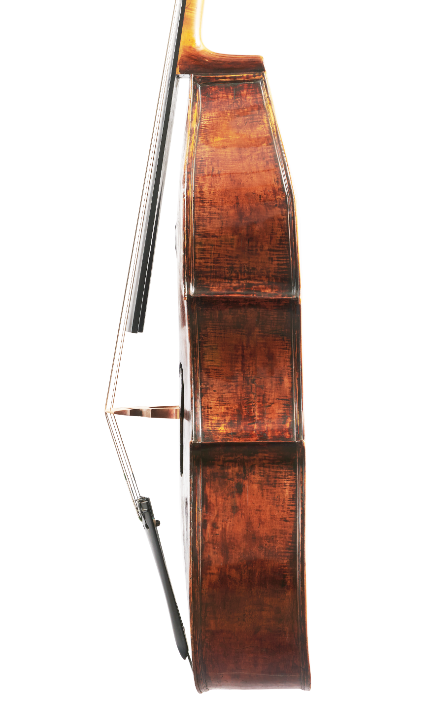 Fuber Double Bass right side