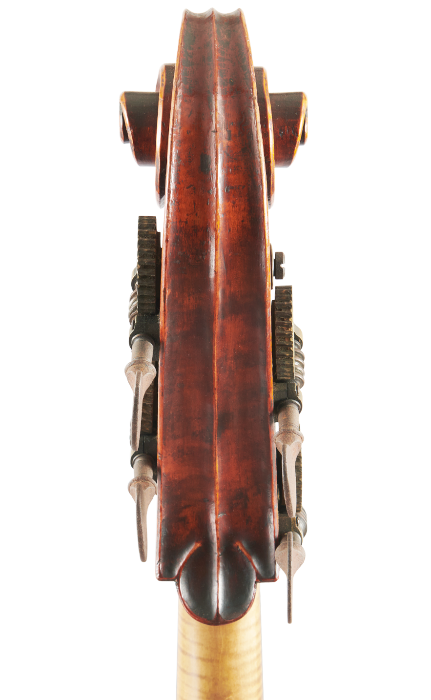 Fuber Double Bass rear scroll