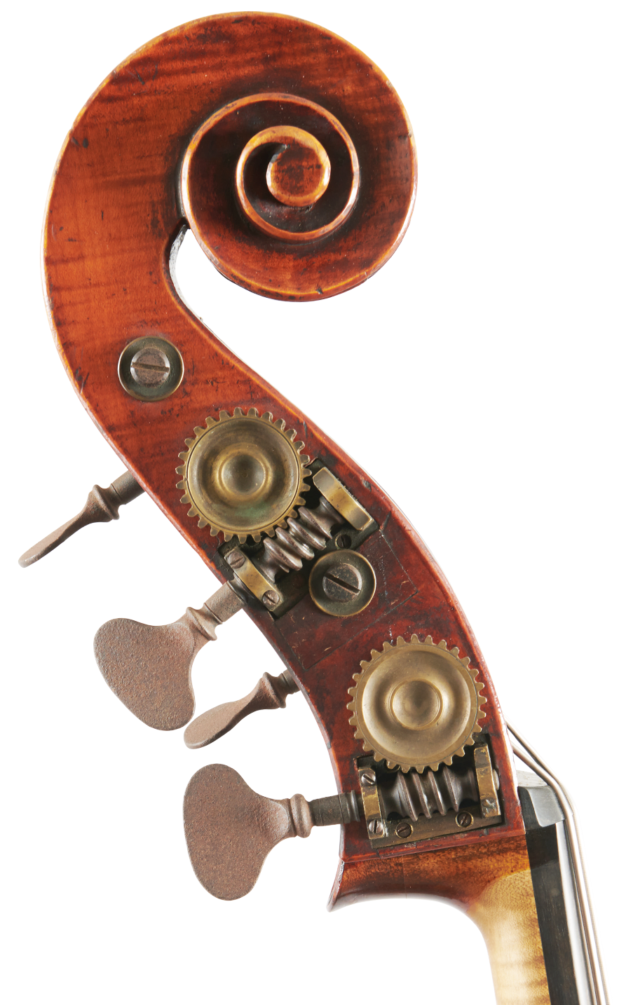 Fuber Double Bass left scroll