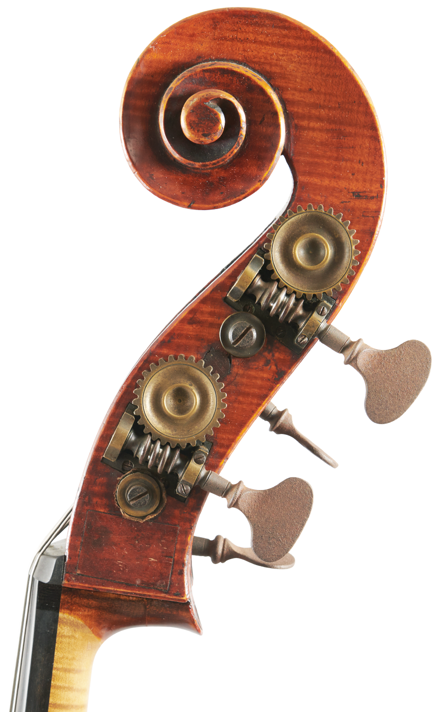 Fuber Double Bass right scroll