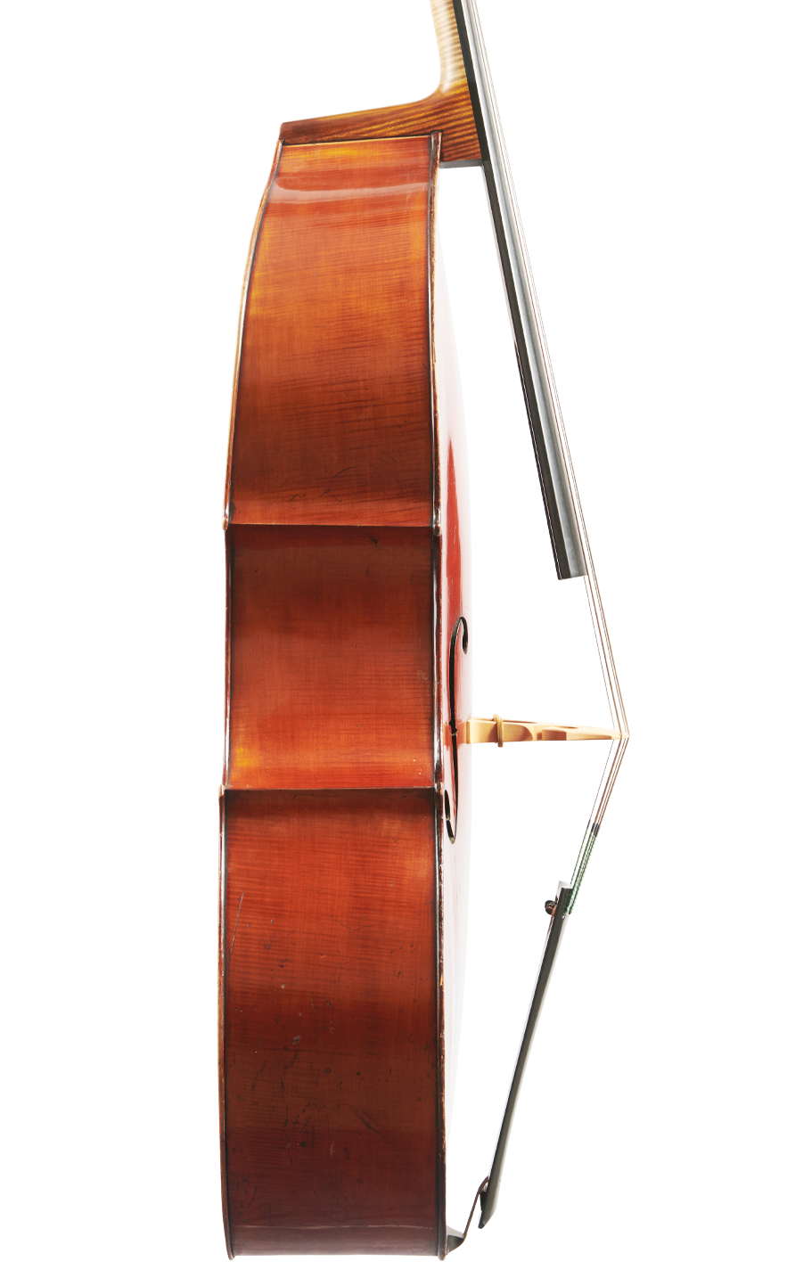 Fuber Double Bass left side