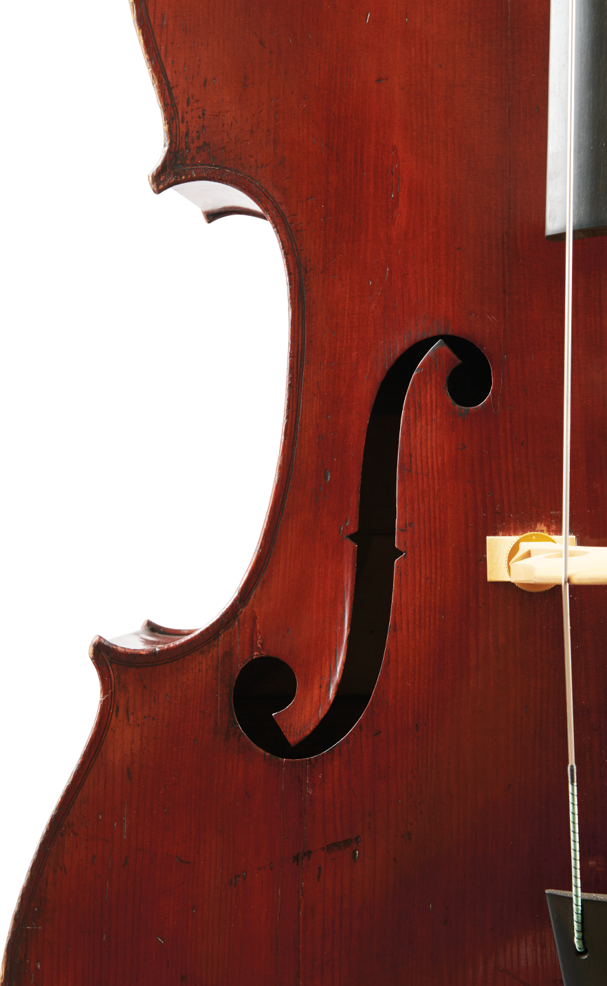 Fuber Double Bass f-hole left