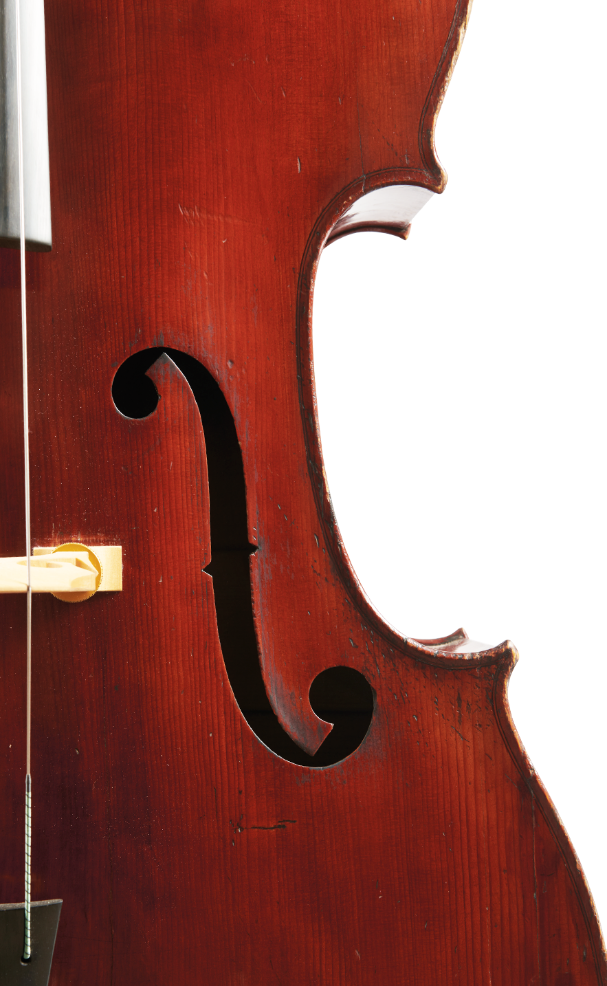 Fuber Double Bass f-hole right