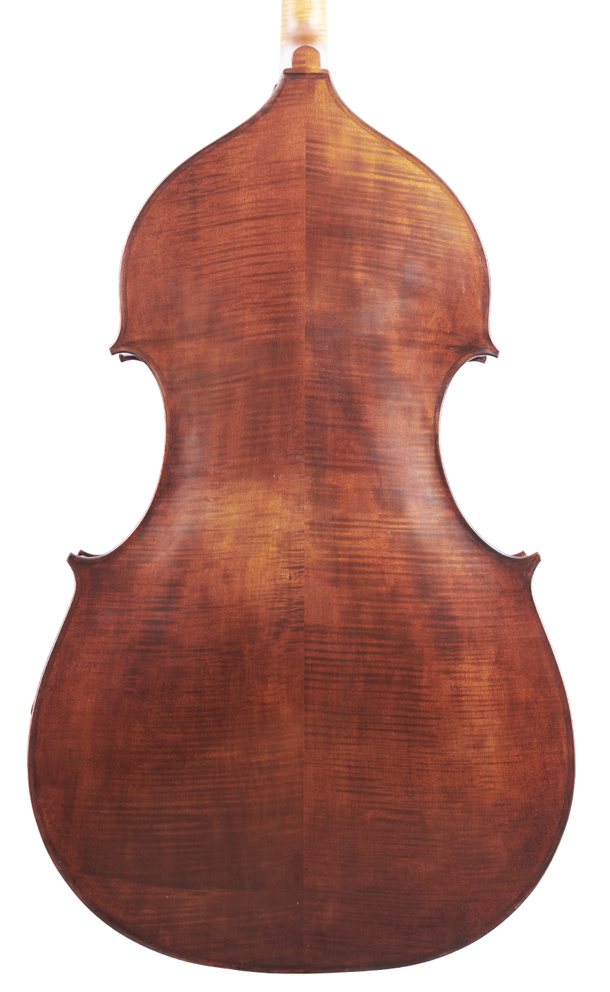 Fuber Double Bass back