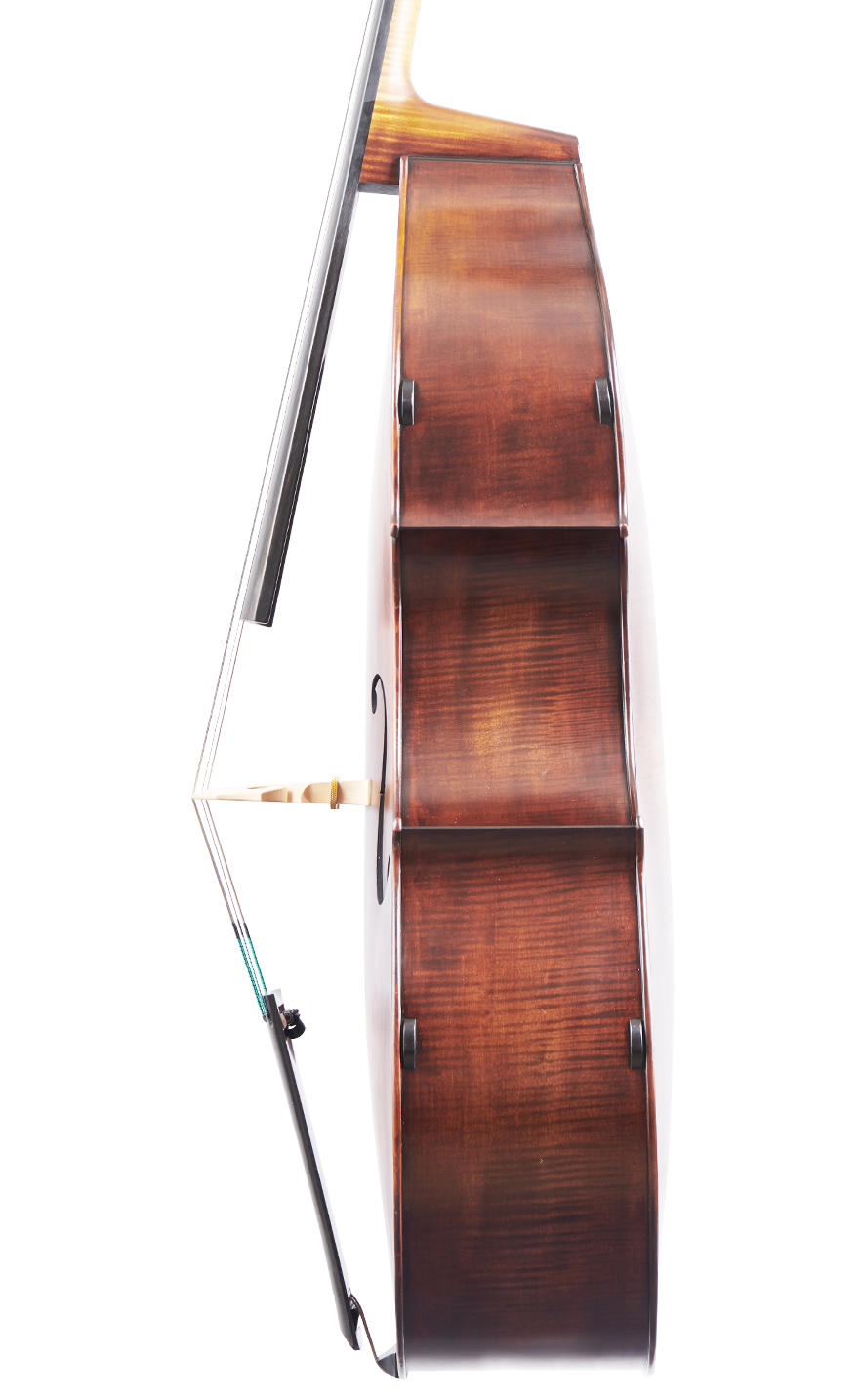 Fuber Double Bass right side