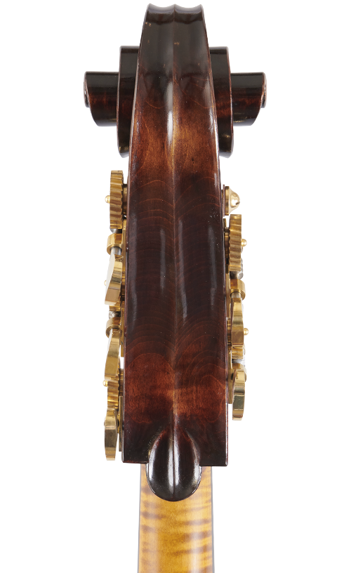 Fuber Double Bass right side