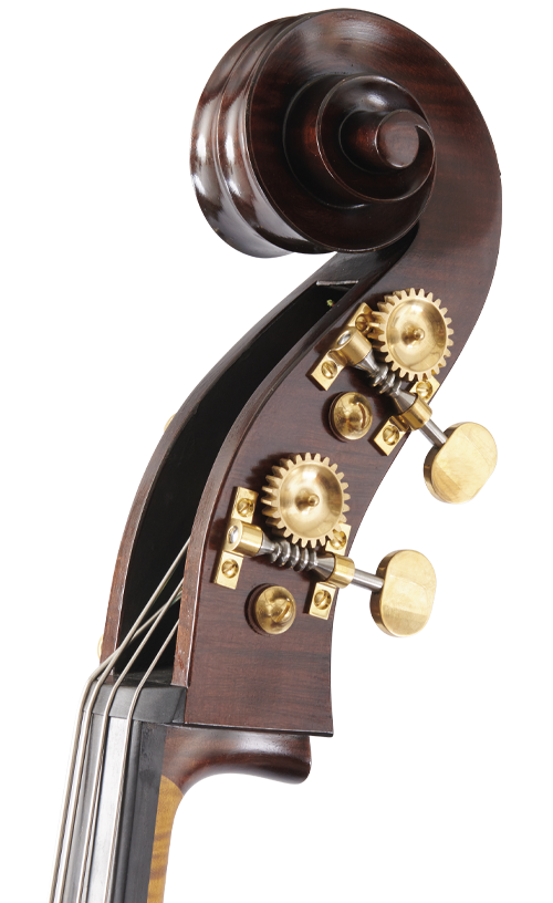 Martin Solo Scroll Front Angle