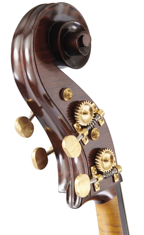 Martin Solo Scroll Back Angle