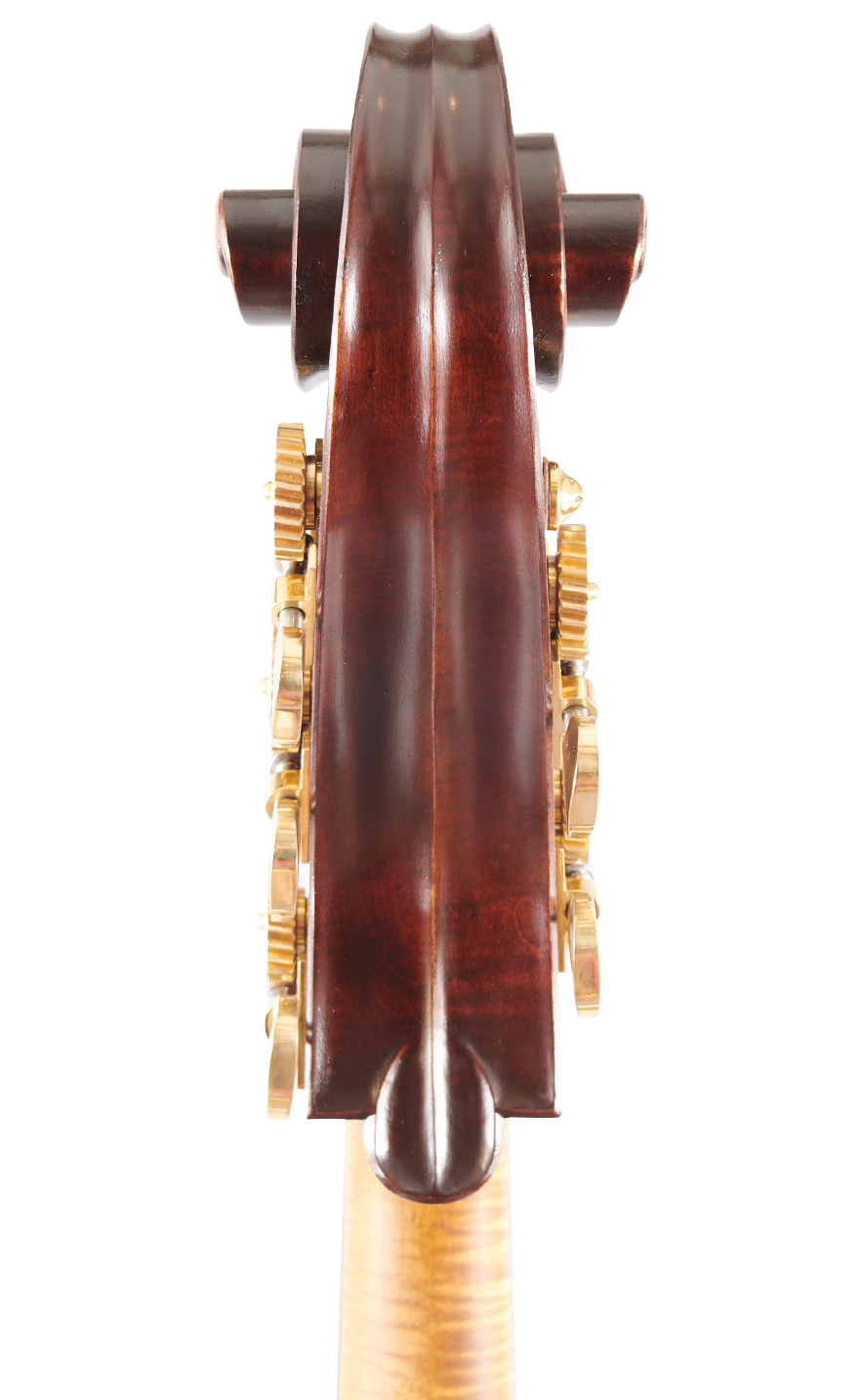 Martin 3/4 Scroll Back