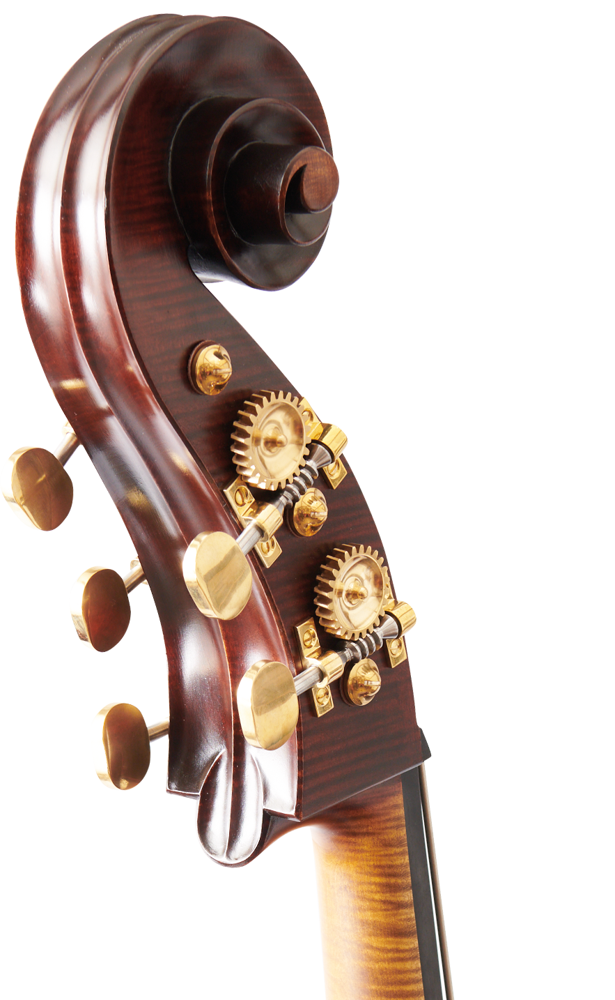 Martin 3/4 Scroll Back Angle