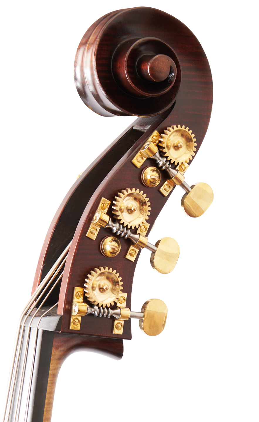 Martin 3/4 Scroll Front Angle