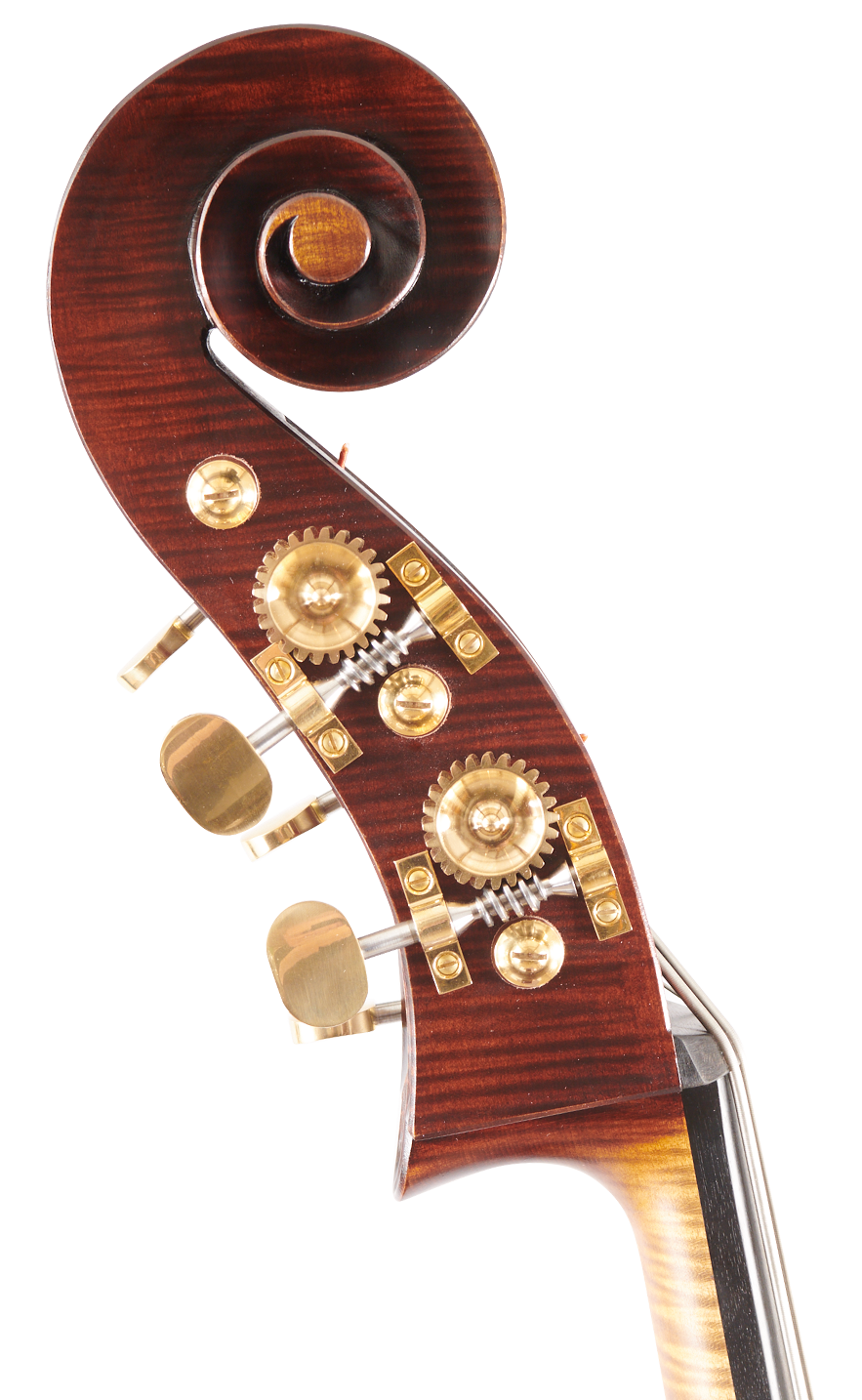 Martin 3/4 Scroll Right Side