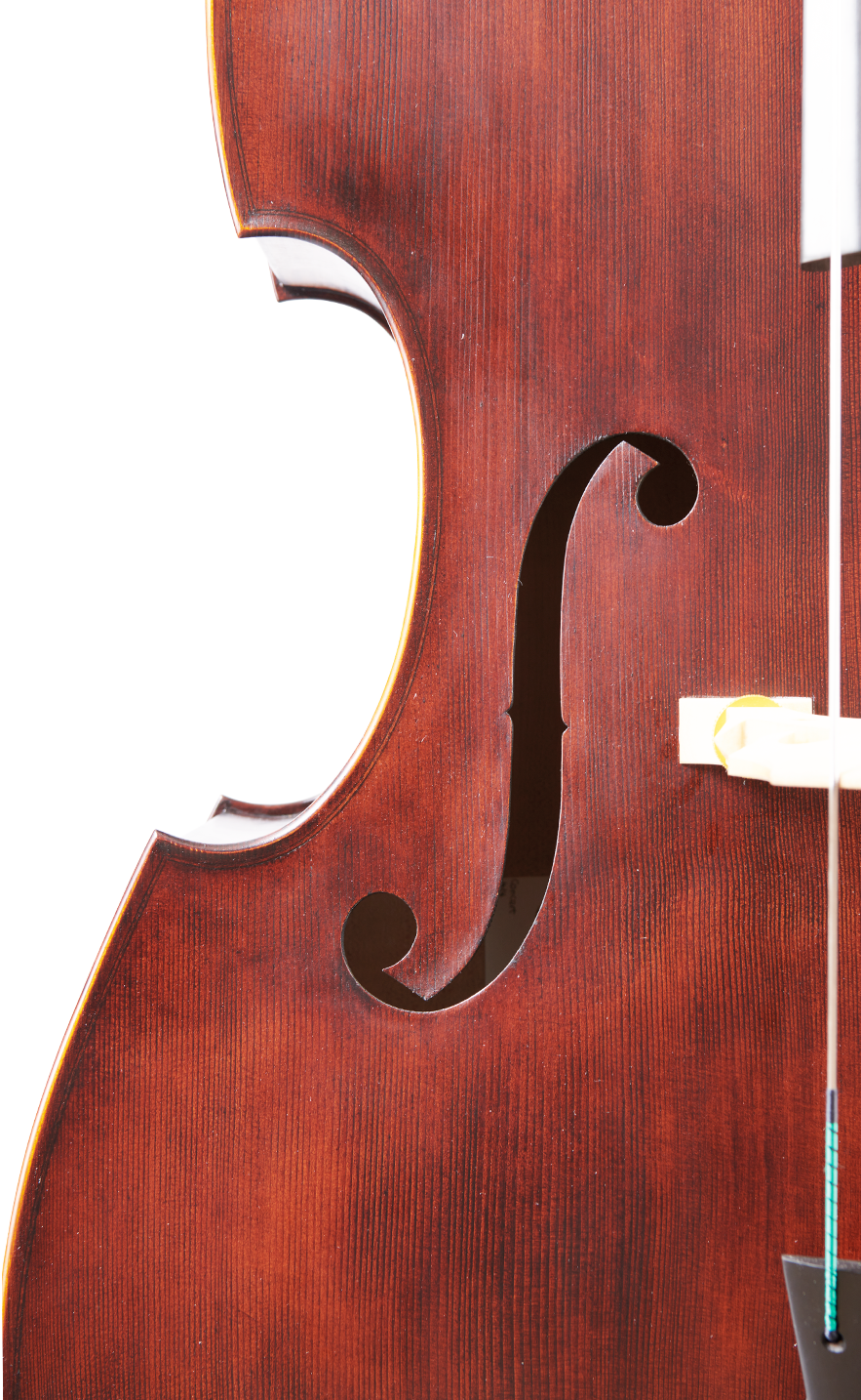 Martin Concert 4/4 Viol Soundhole Left