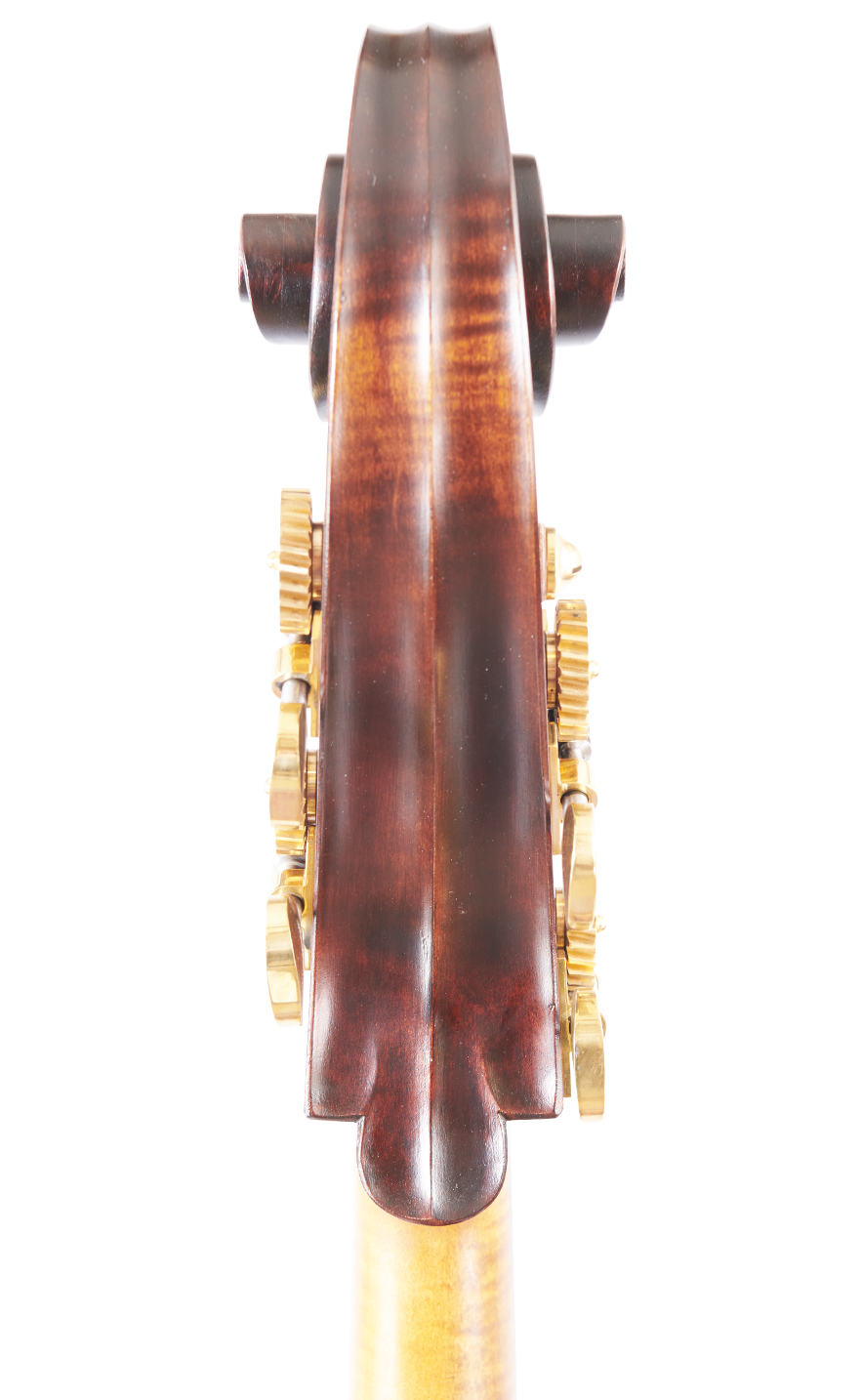 Martin Concert 4/4 Viol Back Scroll