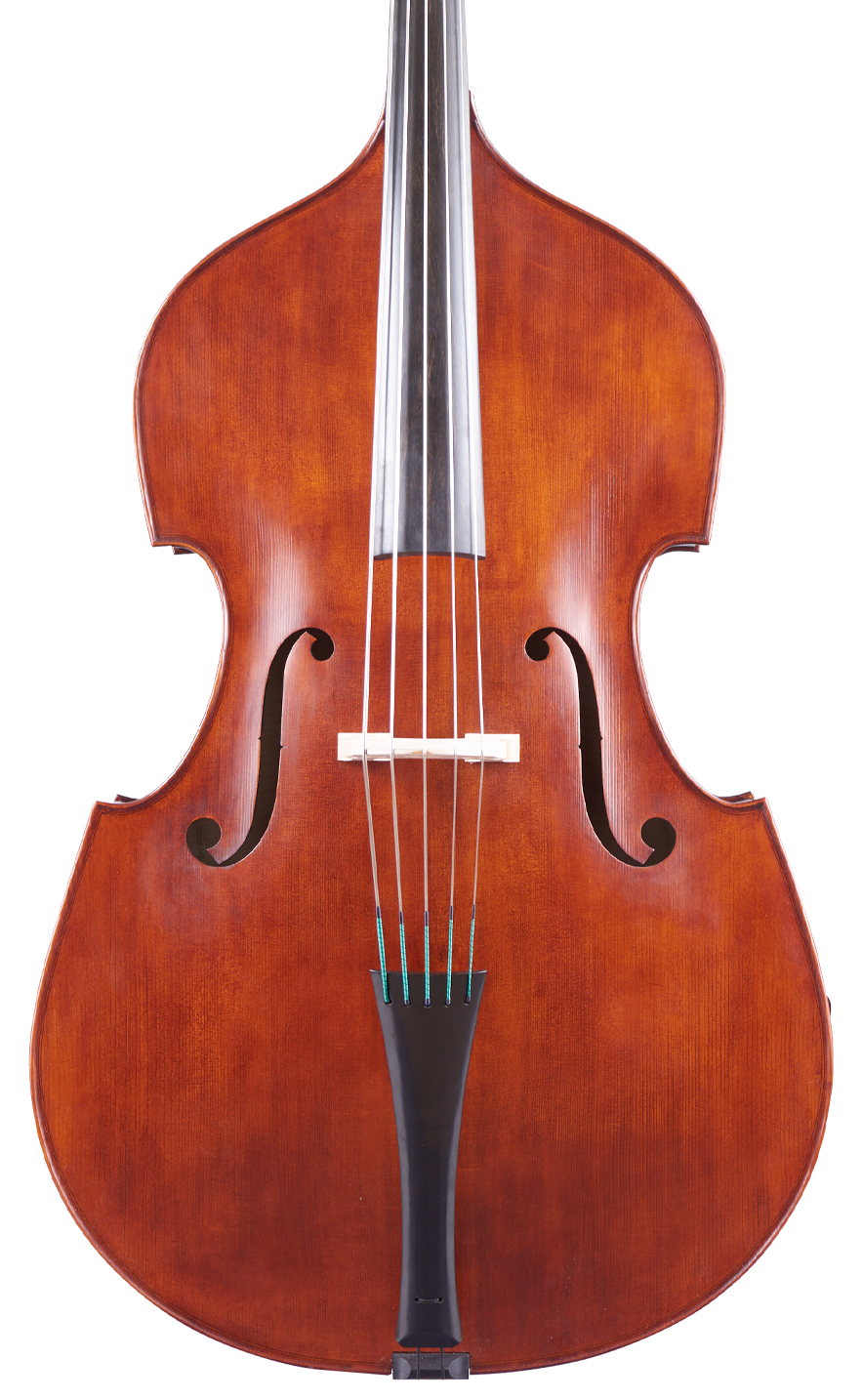 Martin Ruggeri Viol Front