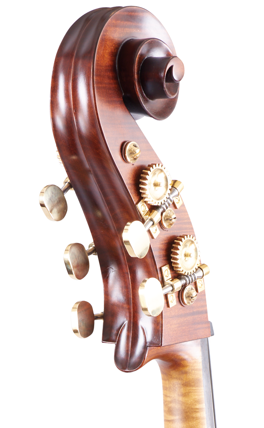 Martin Ruggeri Viol Scroll Back Angle