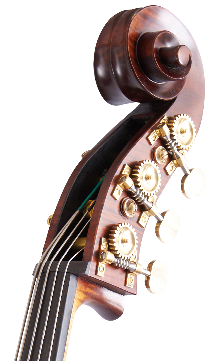 Martin Ruggeri Viol Scroll Front Right Side