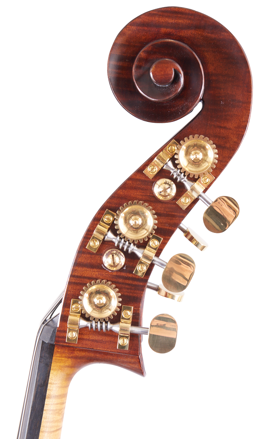 Martin Ruggeri Viol Scroll Right Side