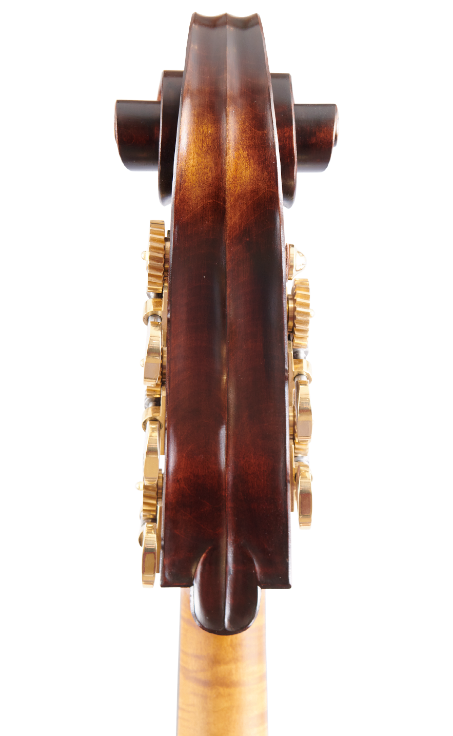 Martin Ruggeri Scroll Back