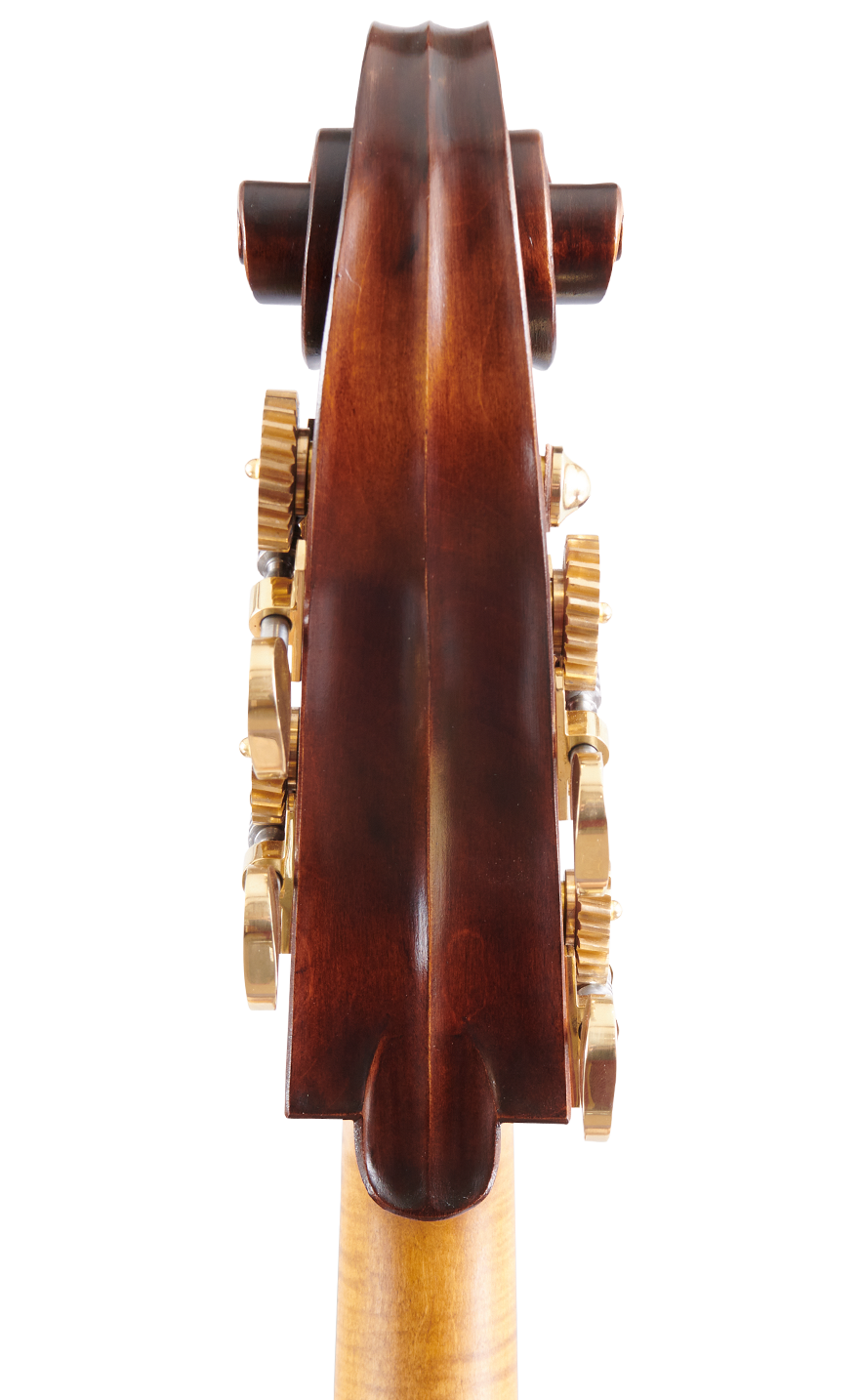 Martin Bergonzi Back Scroll