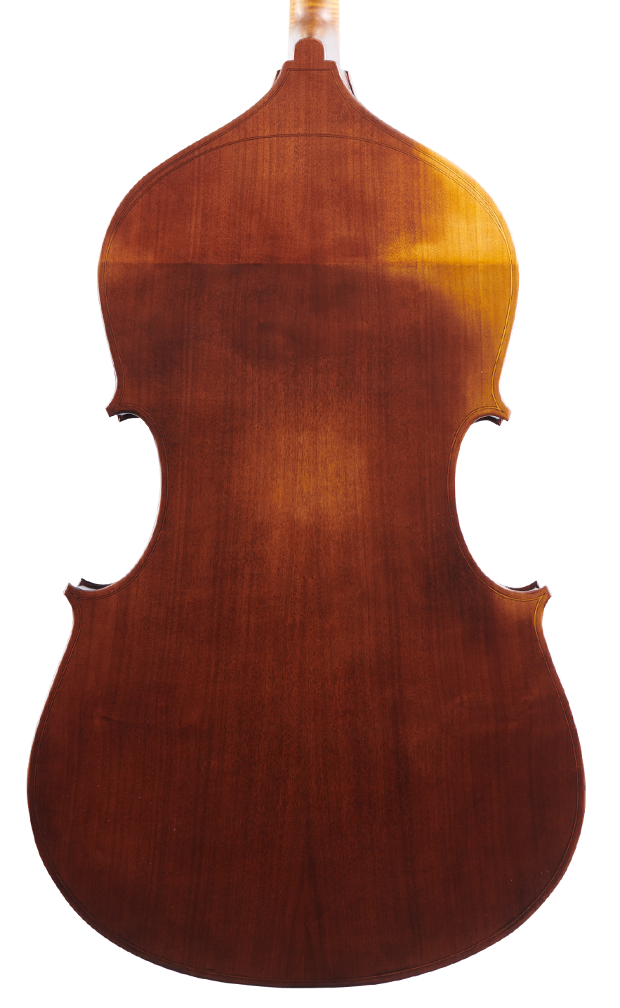 Martin Bergonzi Rear