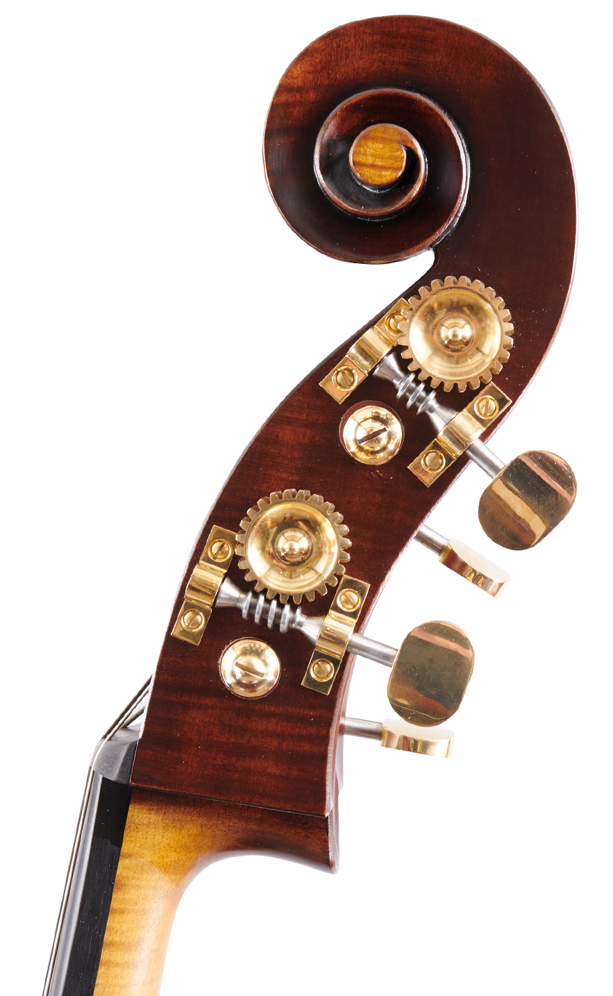 Martin Bergonzi Right Scroll