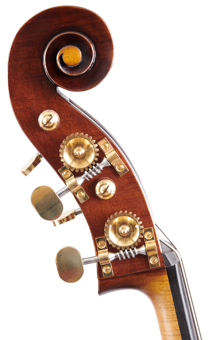 Martin Bergonzi Left Scroll