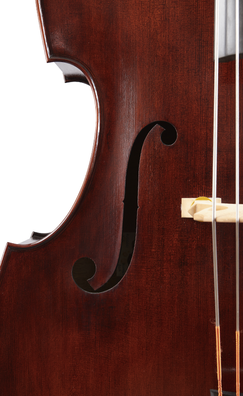 Fuber Double Bass right side