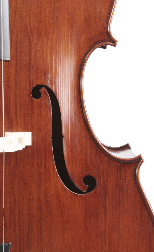 Fuber Double Bass right side