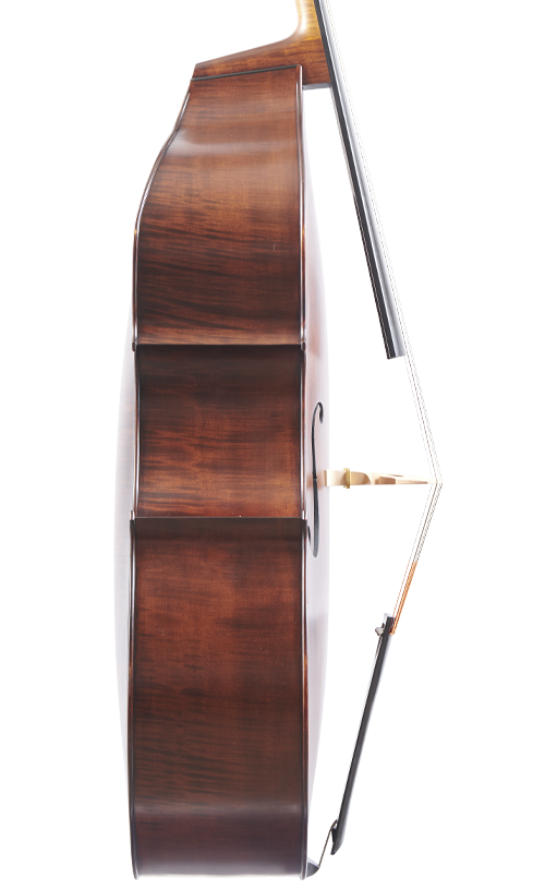 Fuber Double Bass left side