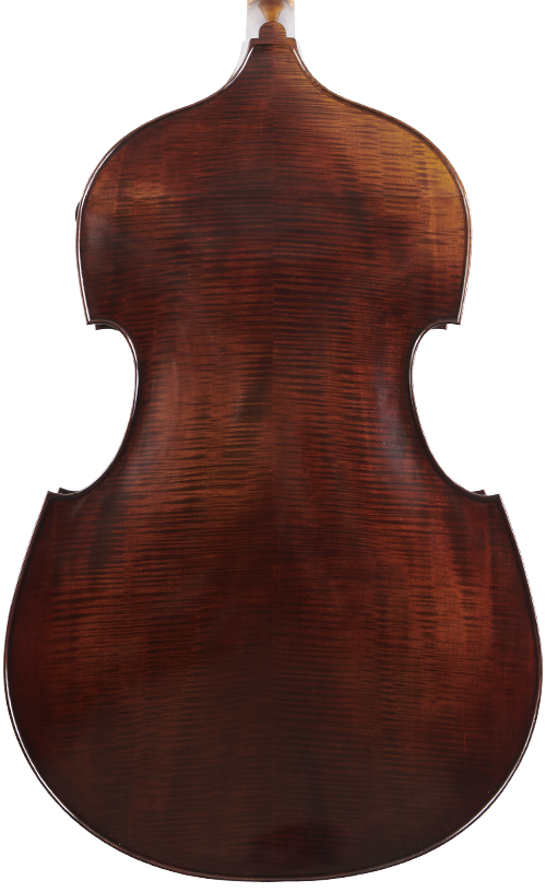 Fuber Double Bass back