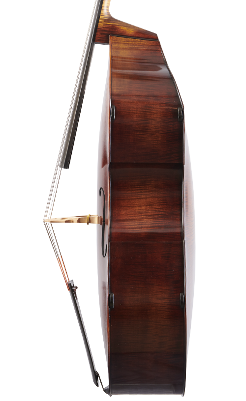 Fuber Double Bass right side