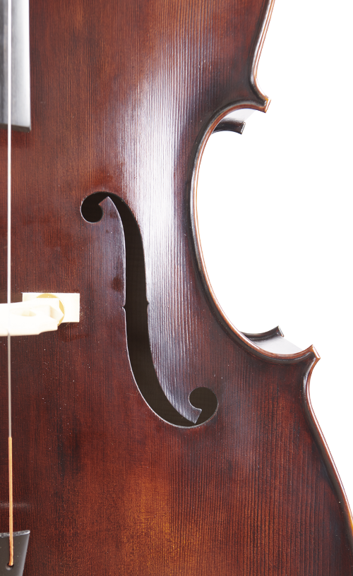 Fuber Double Bass right side