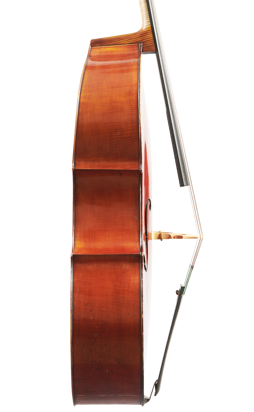 Fuber Double Bass left side