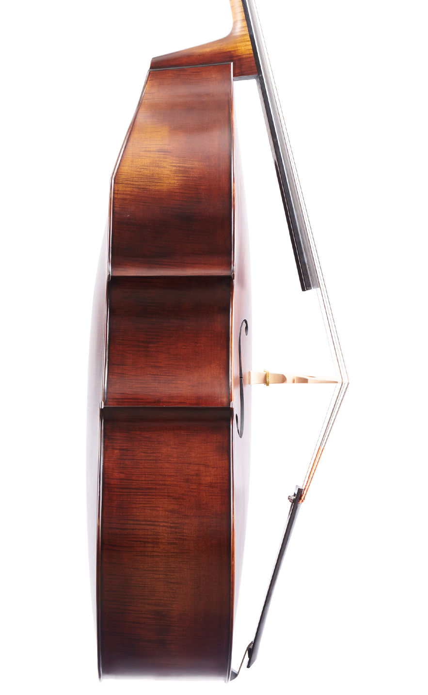 Fuber Double Bass left side