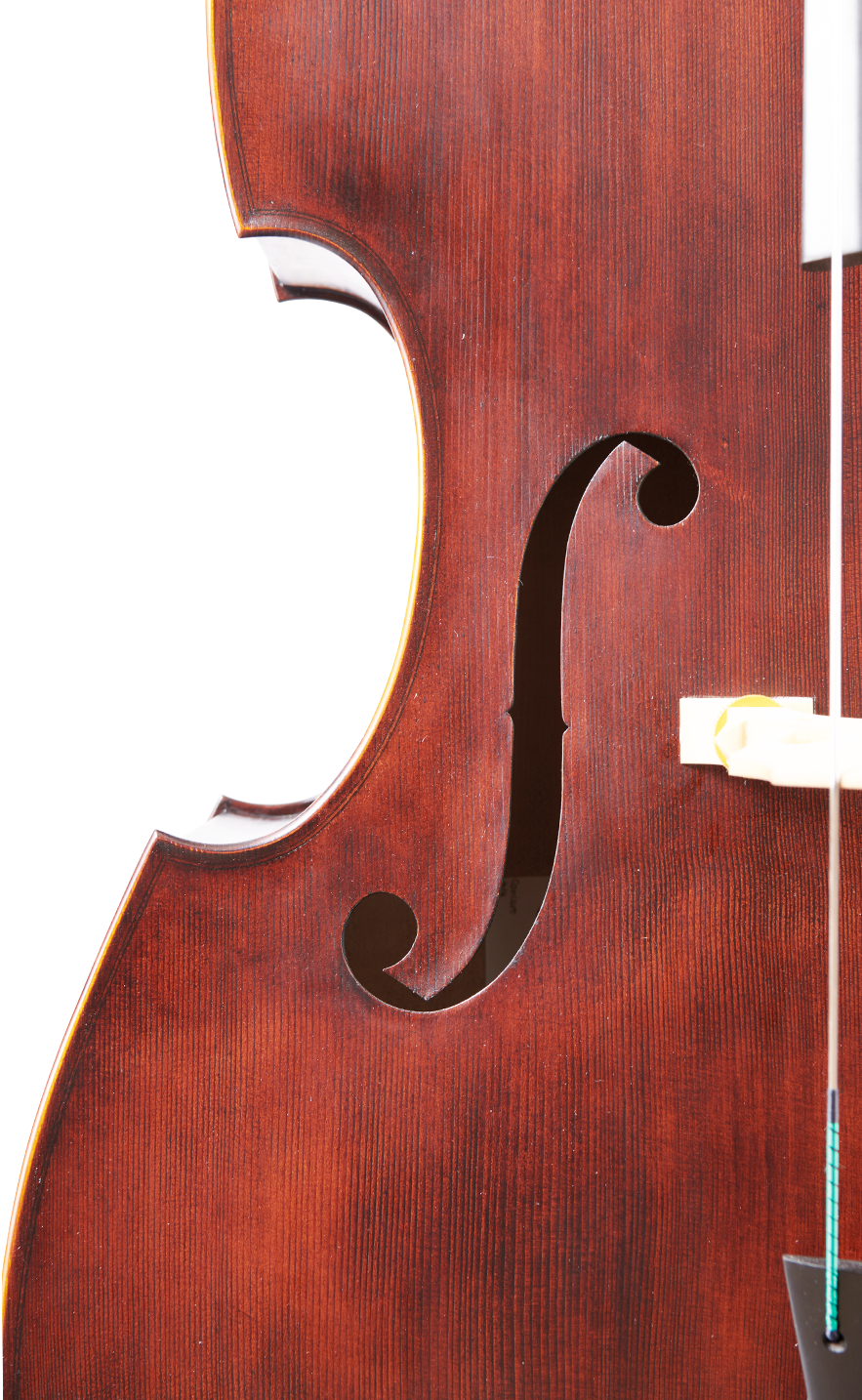 Fuber Double Bass right side