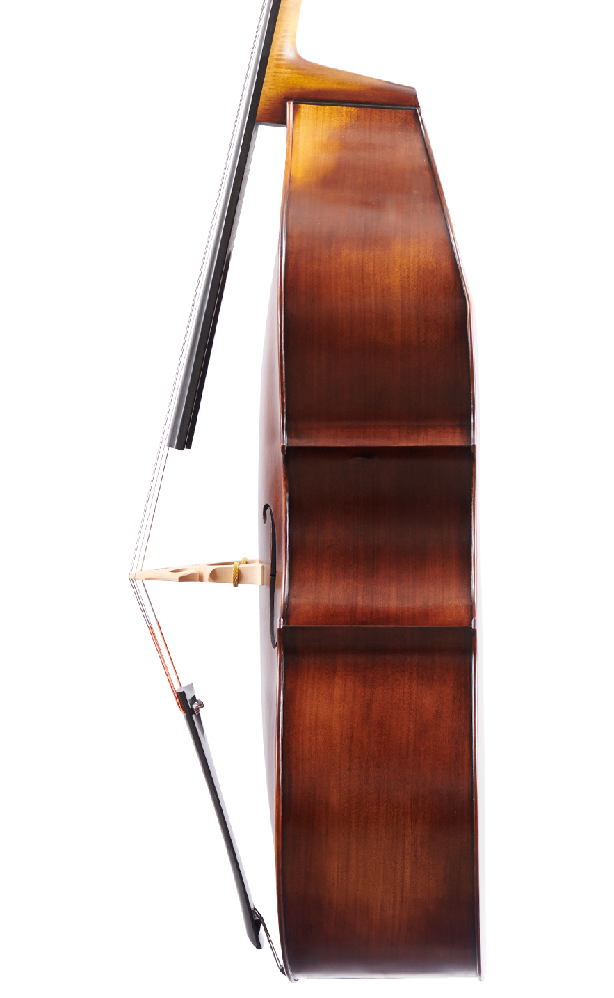 Fuber Double Bass right side