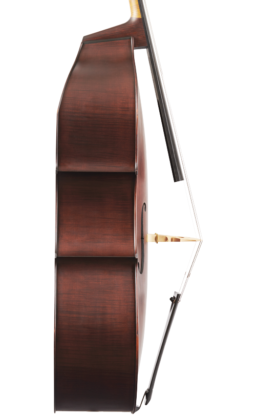 Fuber Double Bass left side